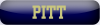 Pitt Resized