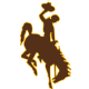 Wyoming_logo